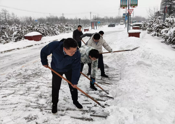 星空入口（中国）官方网站
组织全体员工扫雪除冰(图2)